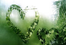 美洲杯2024赛程表是怎样安排的？